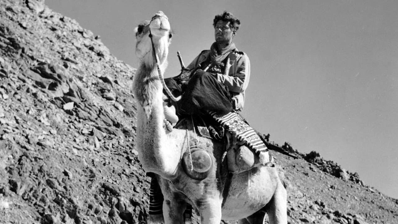 El Sendero Frison-Roche