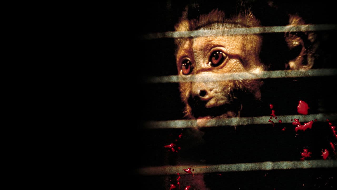 Atracción diabólica