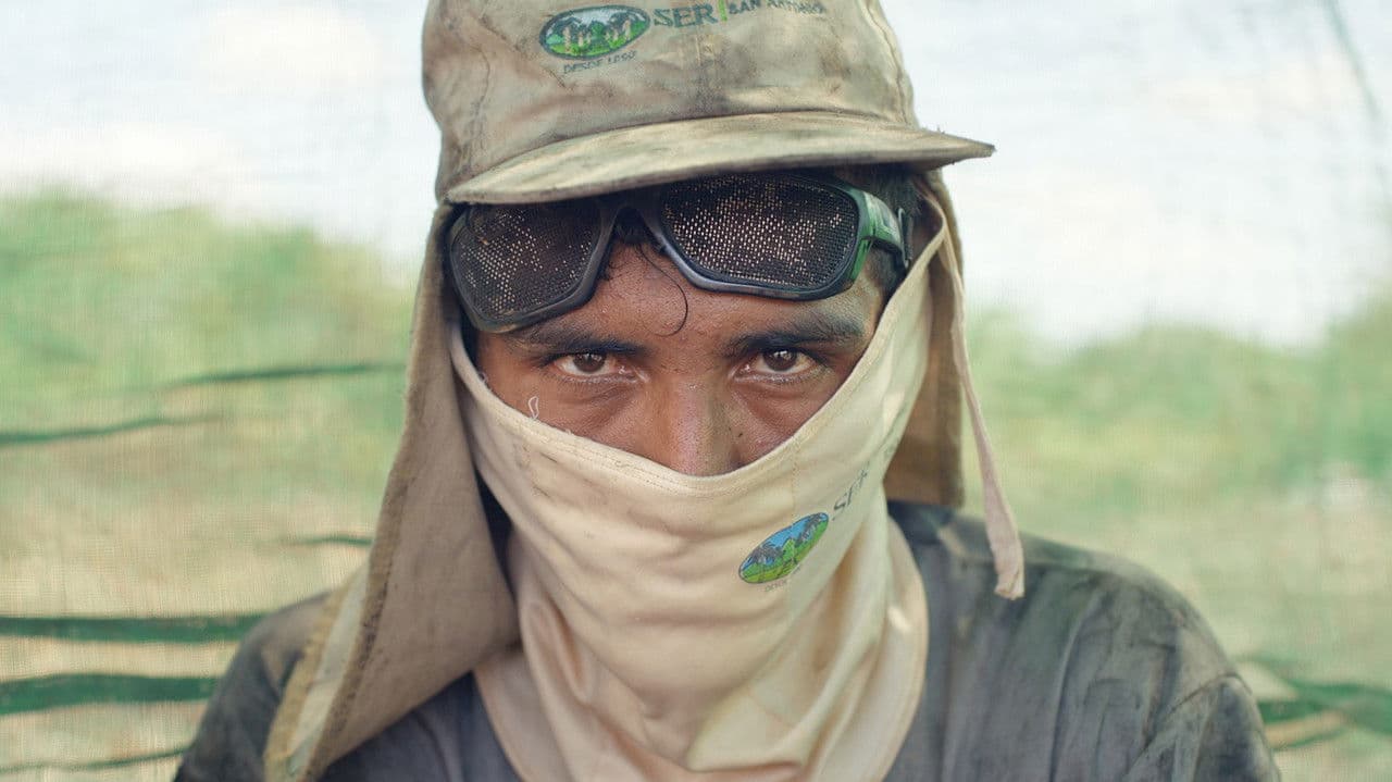 ¿Demasiado calor para trabajar?