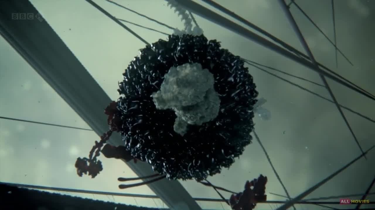 Universo secreto: viaje al interior de la célula
