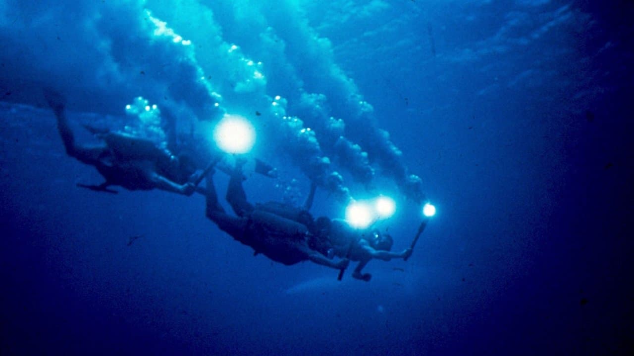 El mundo del silencio