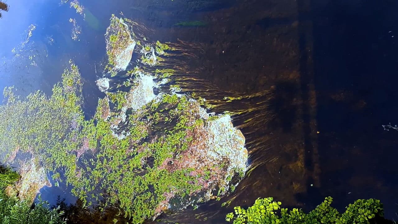 Medzi doľinami, medzi vŕški. Po stopách budúceho zvuku Slovenska.