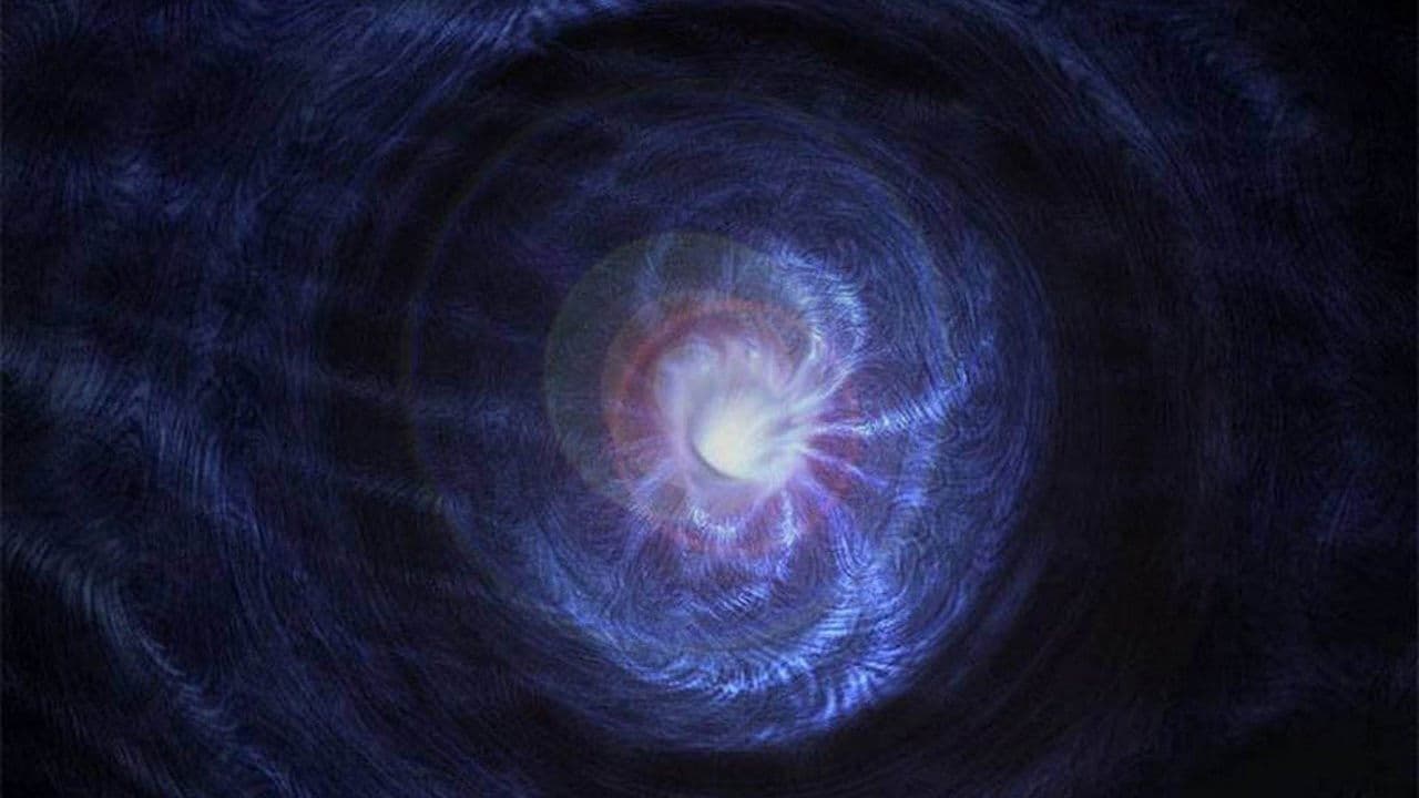 El universo elegante