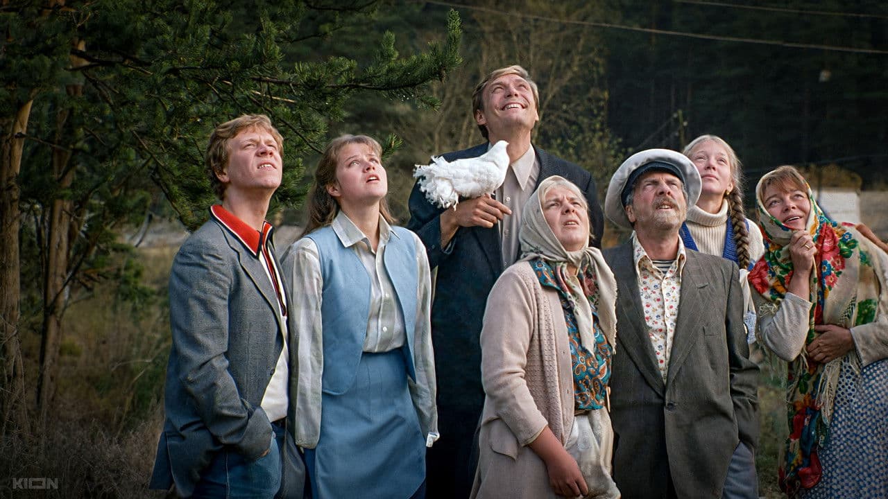 Любовь и голуби