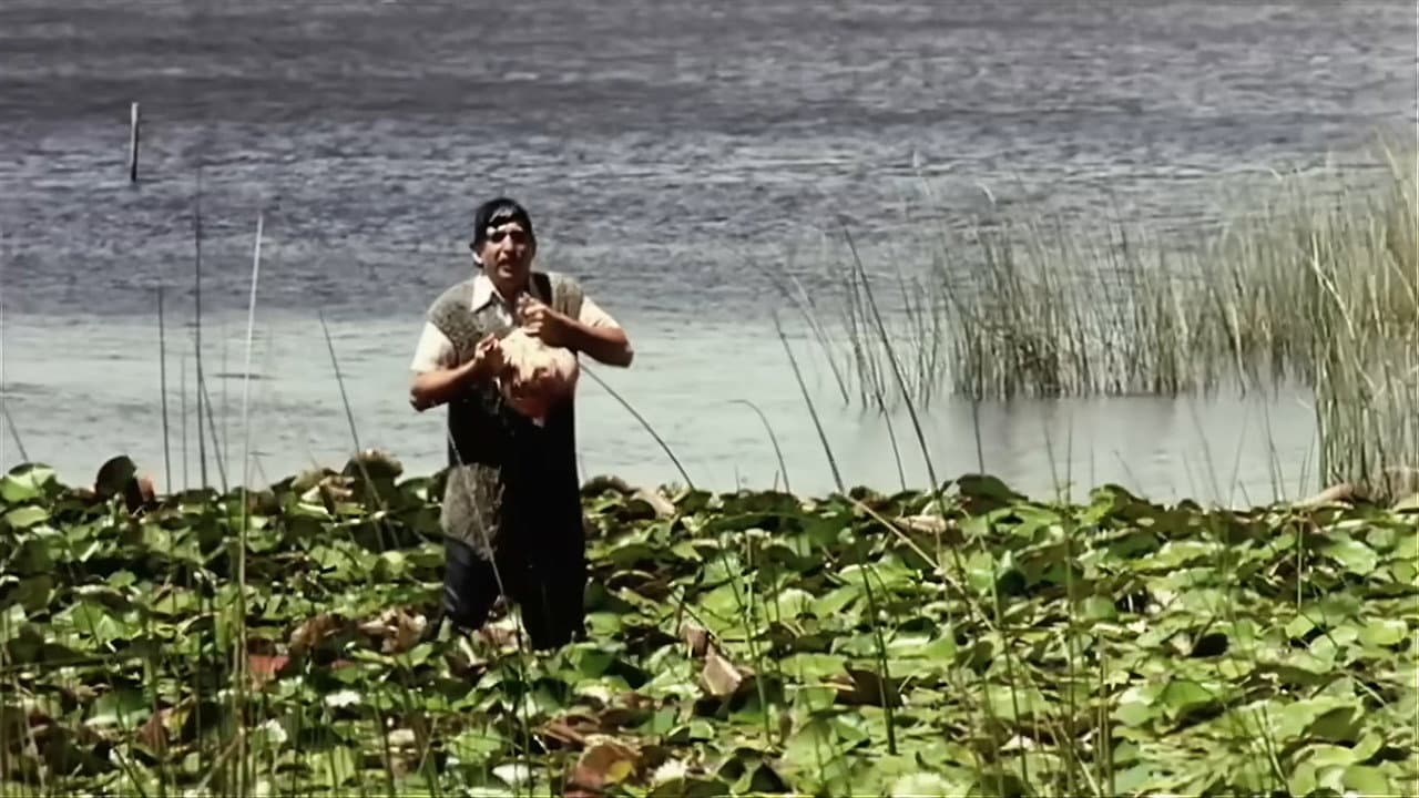 El tesoro de los caracoles