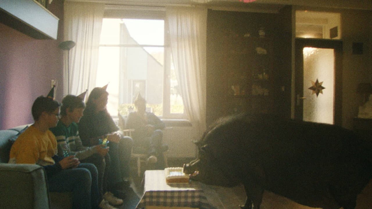 Nelson het minivarken