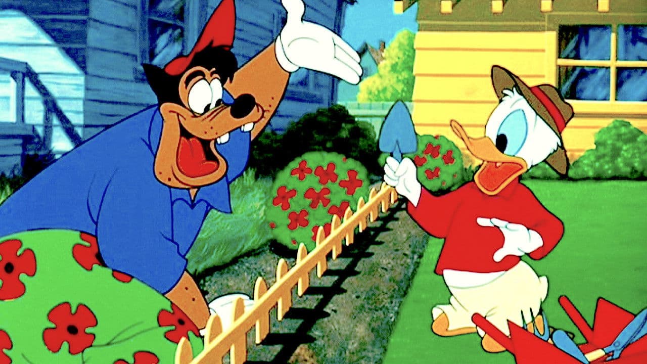 Pato Donald: El nuevo vecino