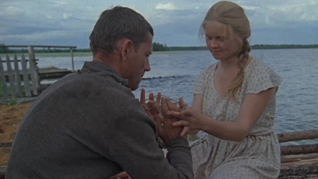 El frío verano del 53