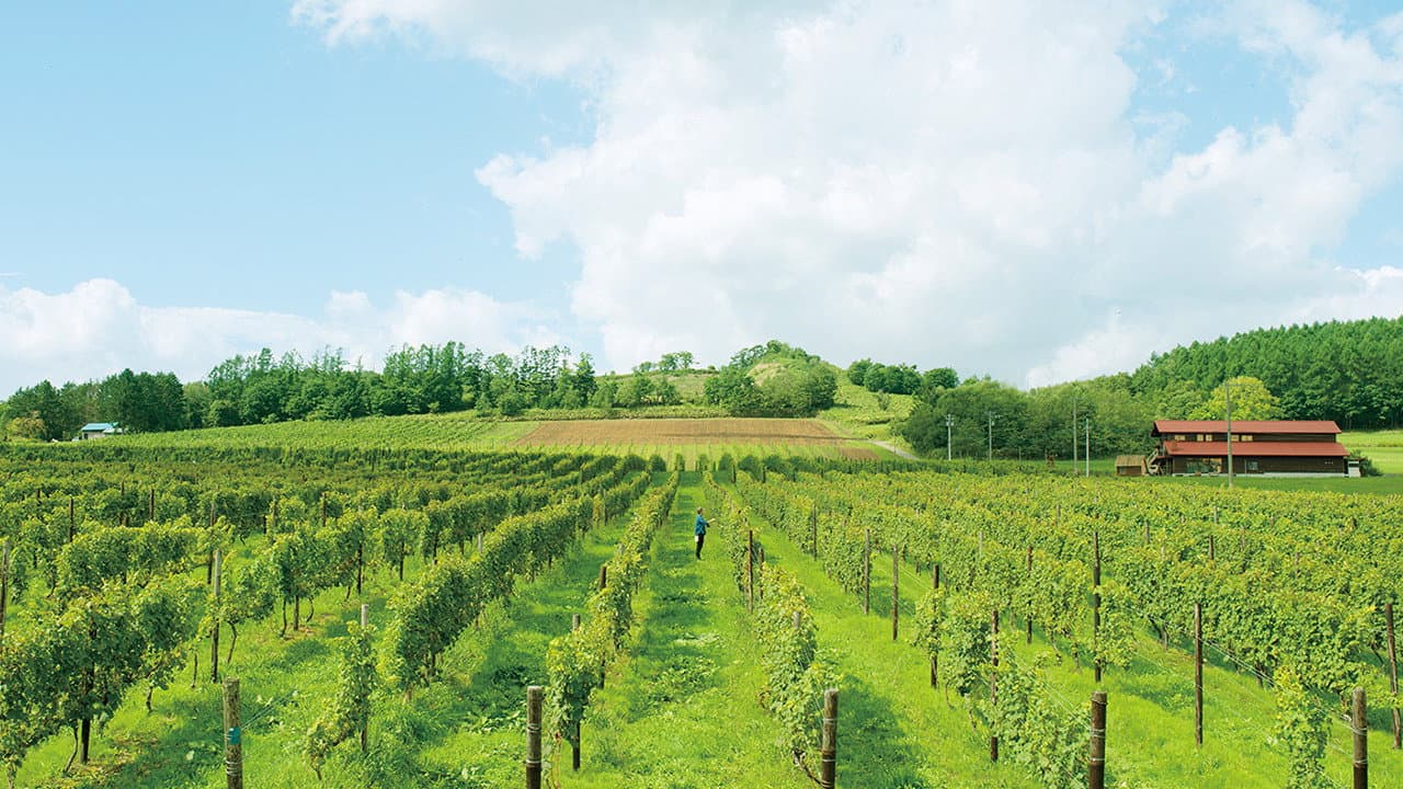 ぶどうのなみだ