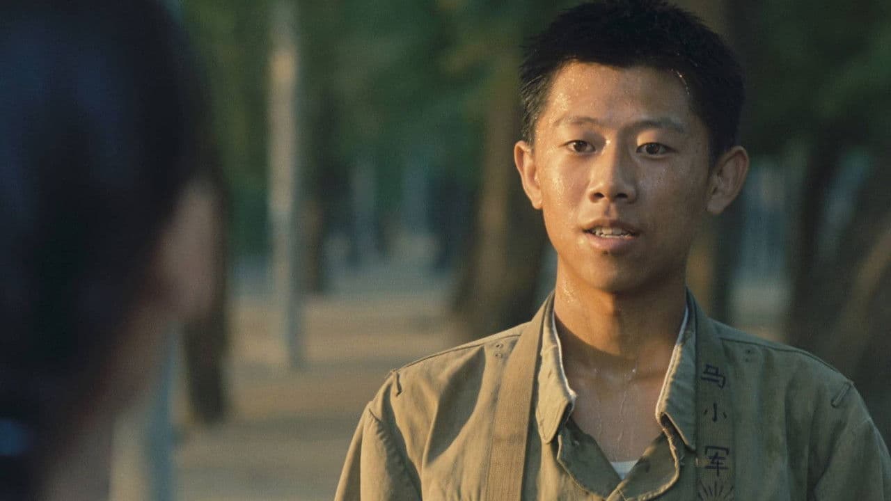 阳光灿烂的日子