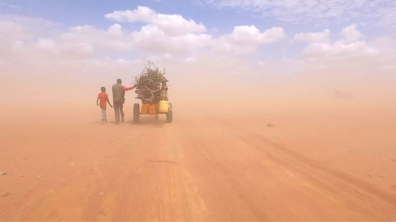 Marea Humana (Human Flow)