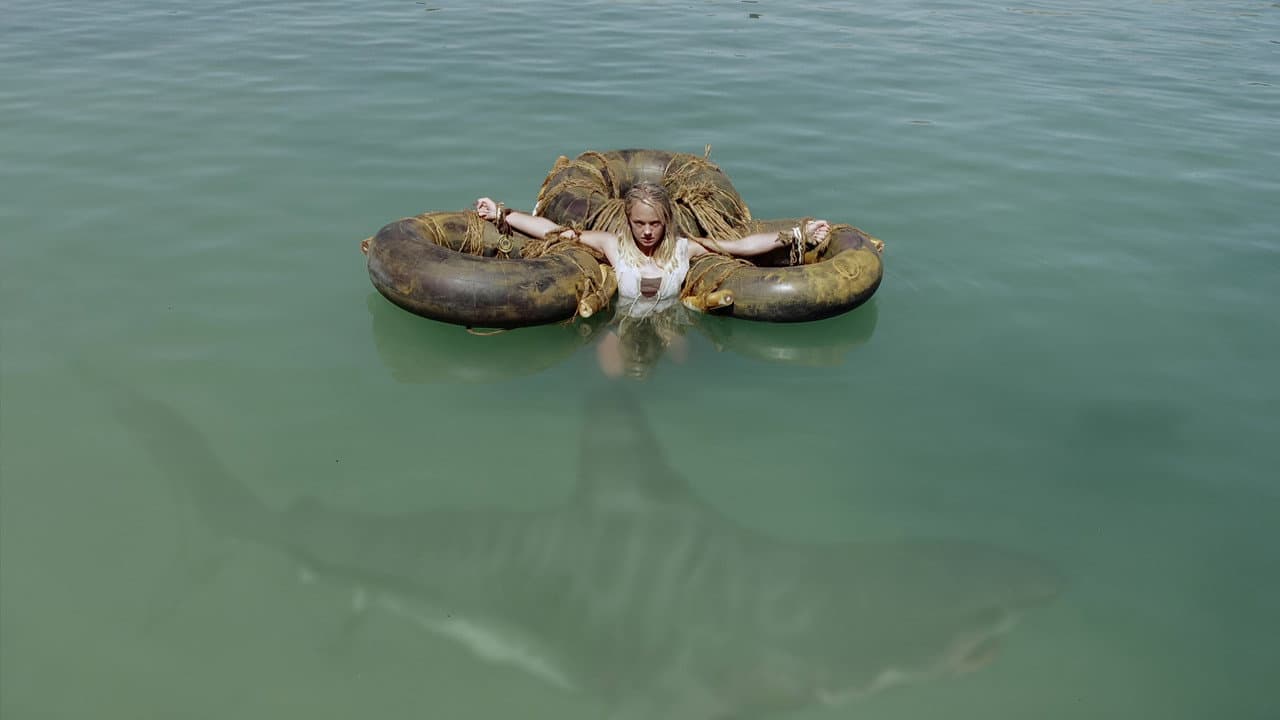 El imperio de los tiburones