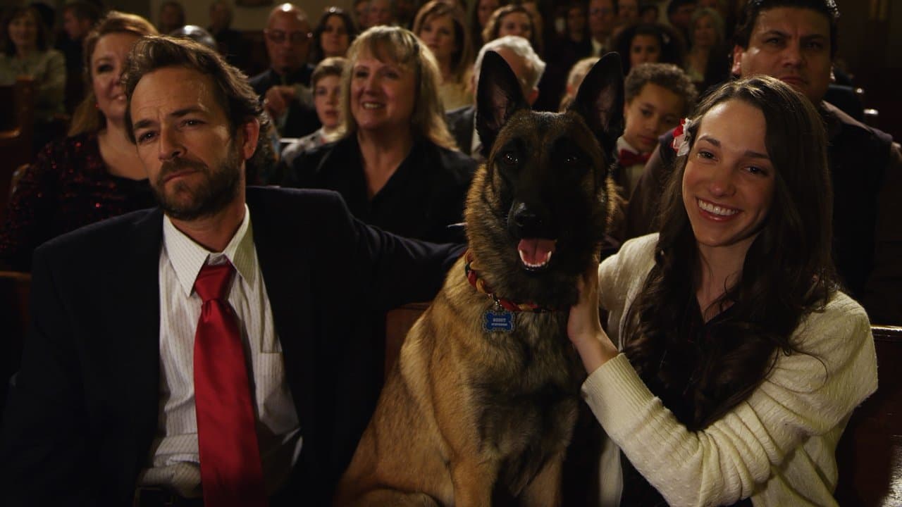 K9 Aventuras Caninas: Un cuento de Navidad