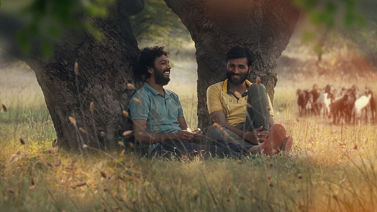 Amar bajo las espinas