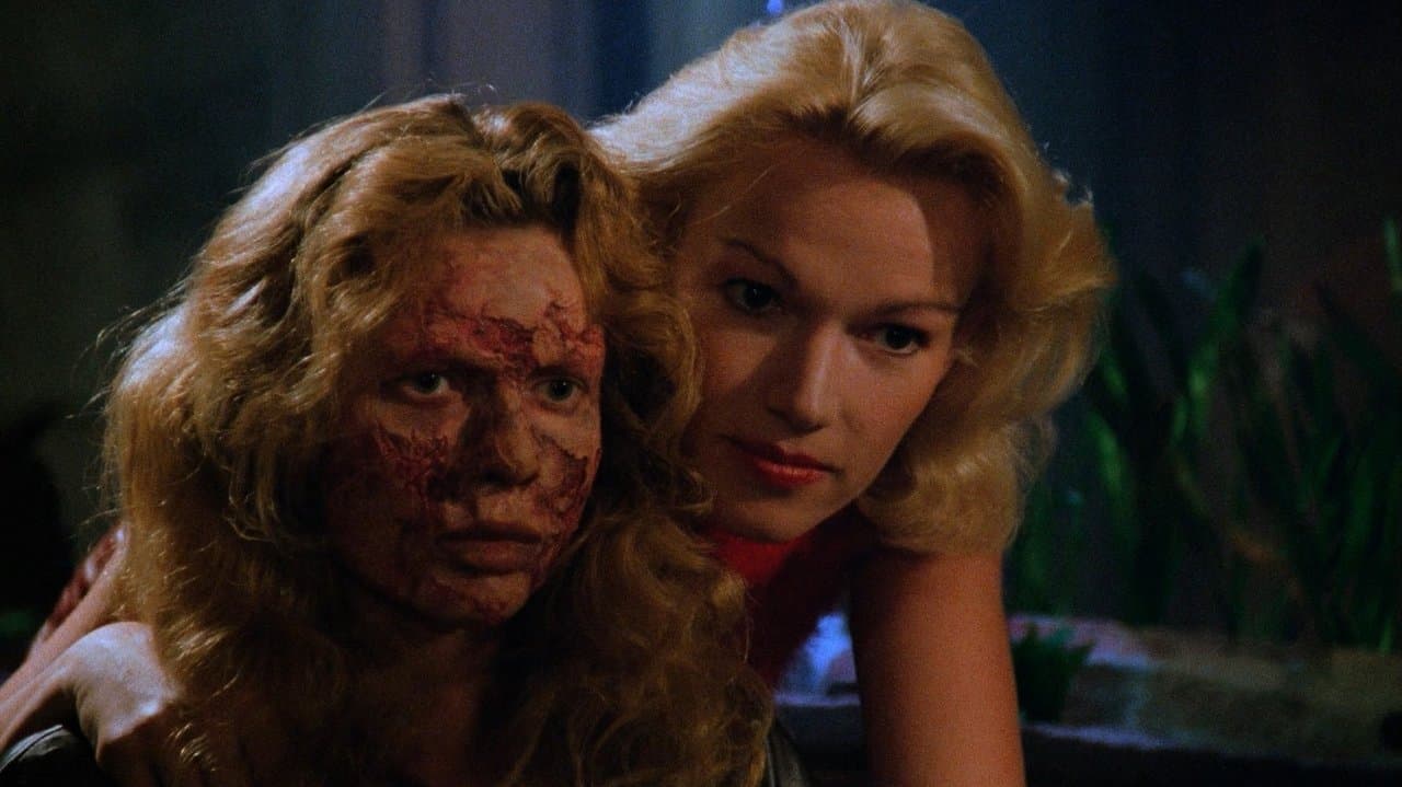 Los depredadores de la noche