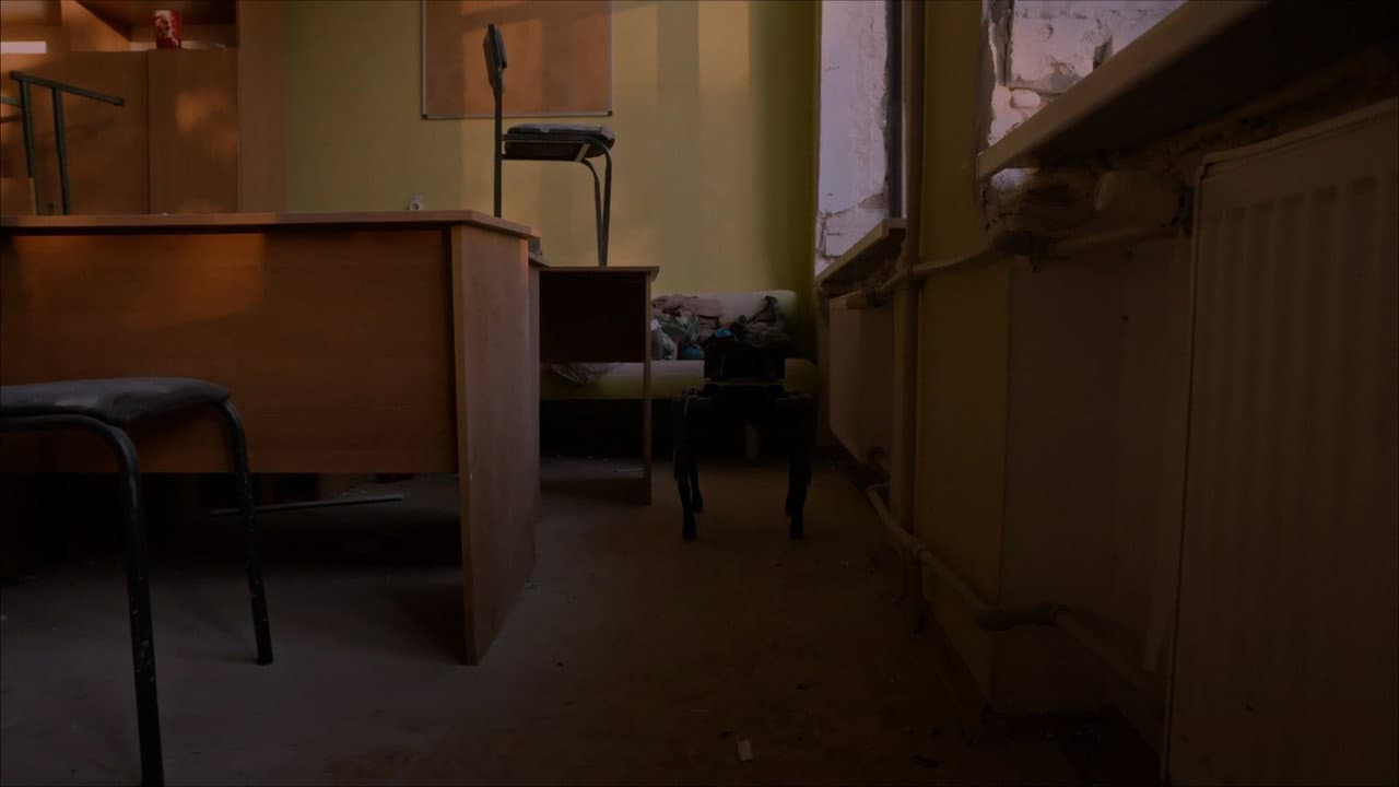 Відкритий світ