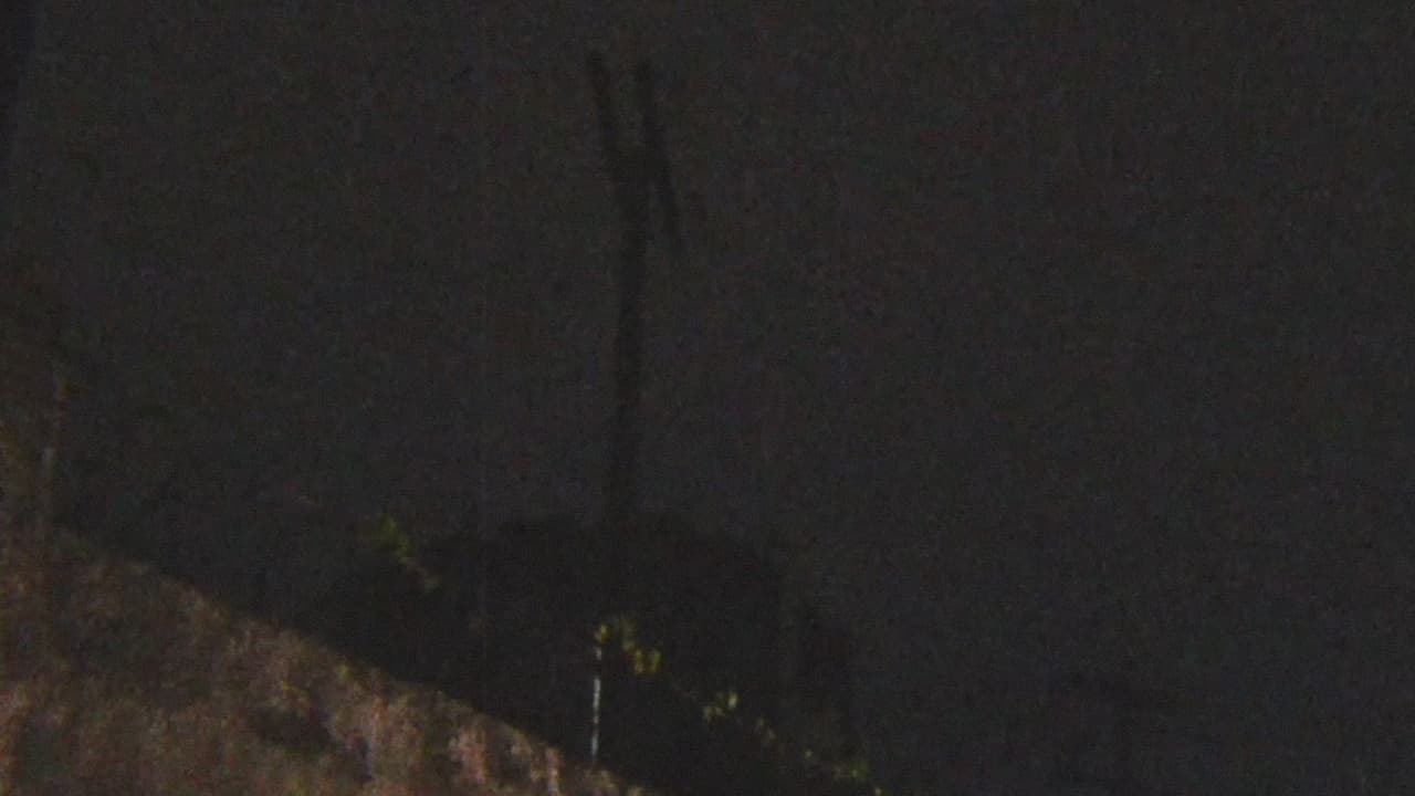 Abarcia