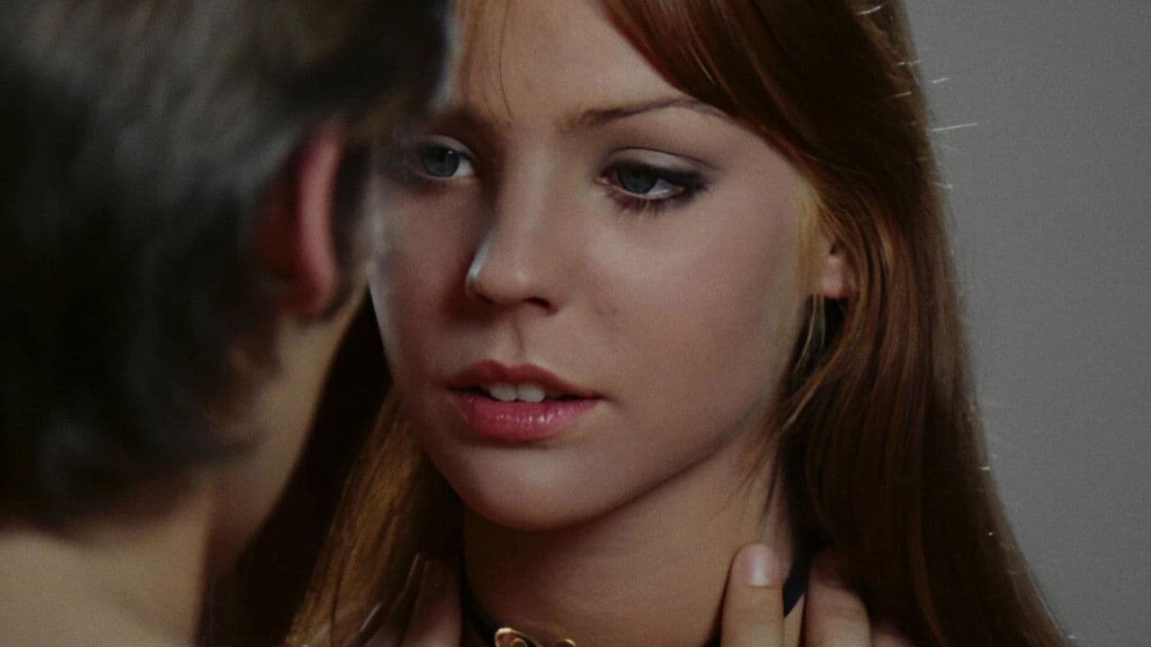 Una mariposa con las alas ensangrentadas