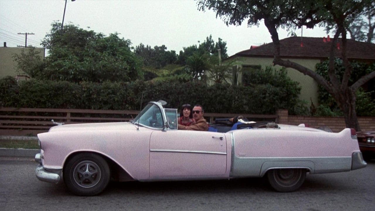 El gato conoce al asesino