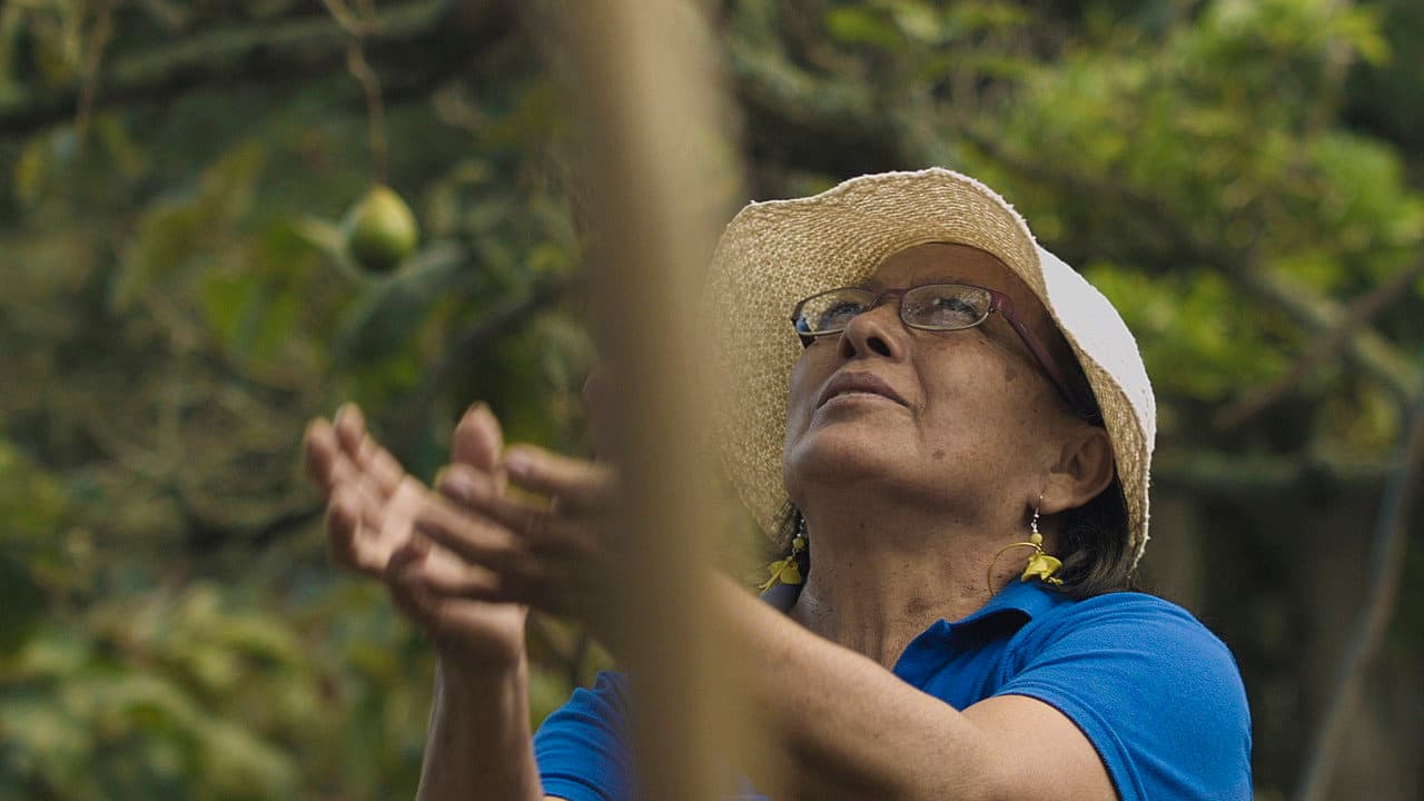 Tierra de mujeres