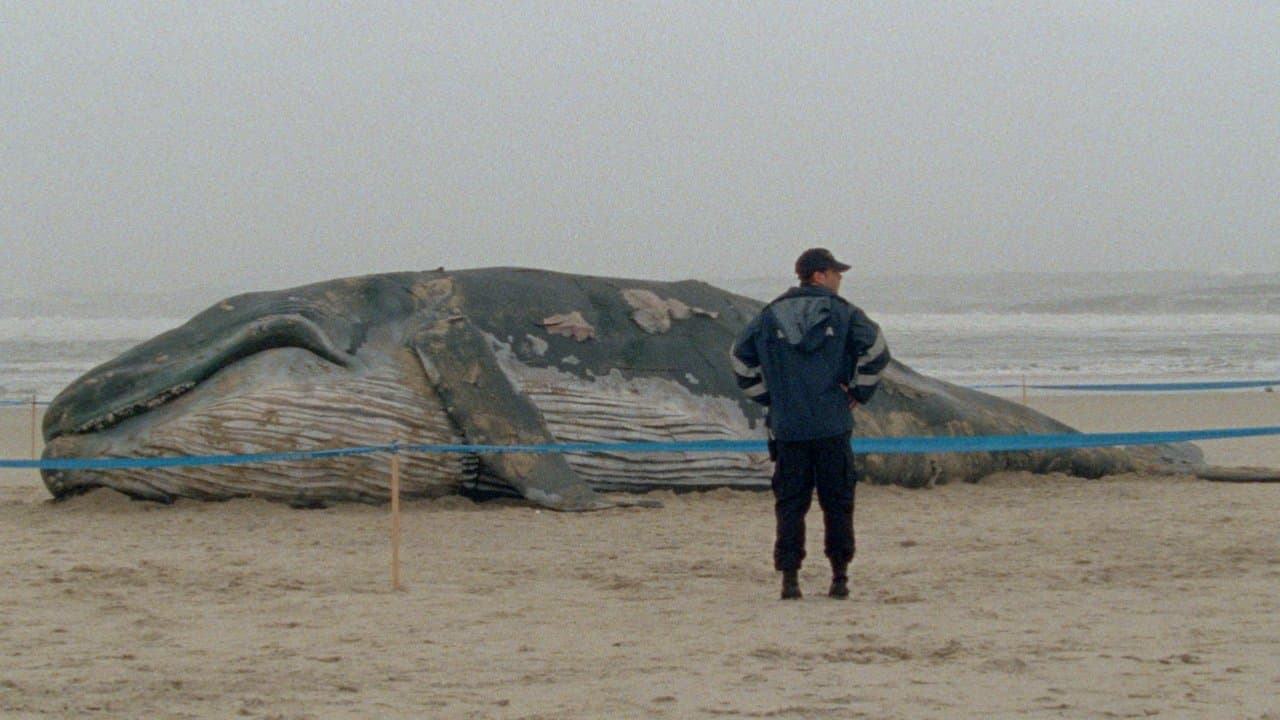 Las mil y una noches Vol.1: El inquieto