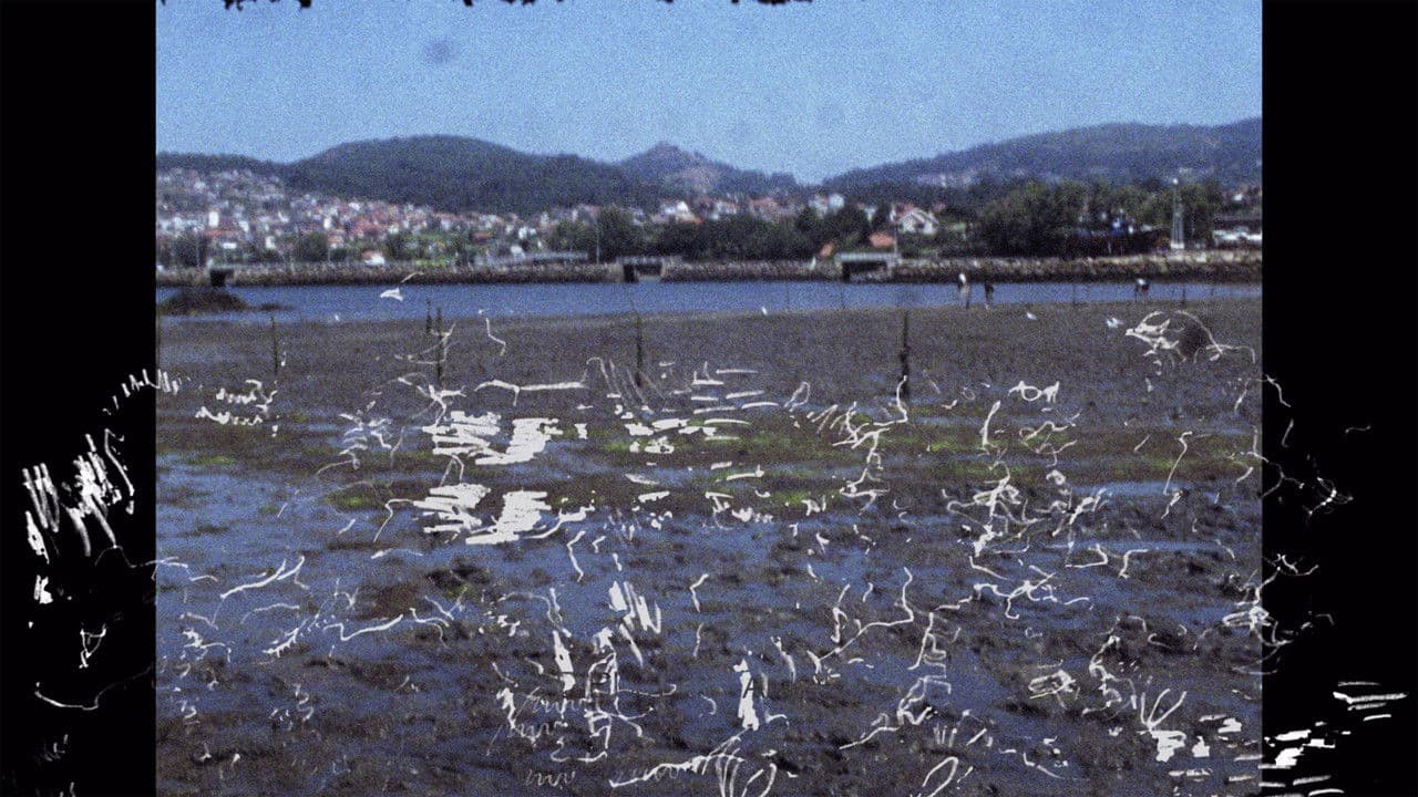 Tatuado en los ojos llevamos el poso