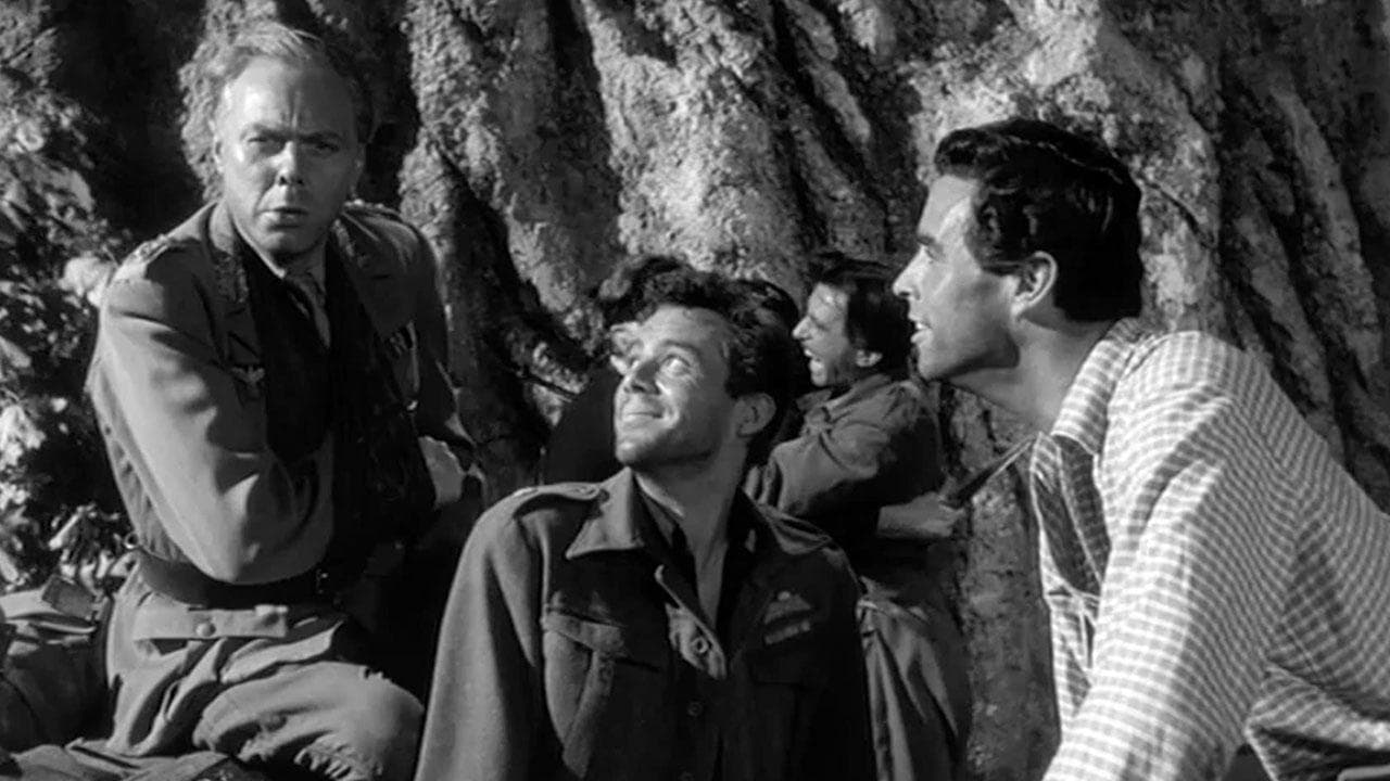 Emboscada Nocturna (AKA Emboscada en la noche)