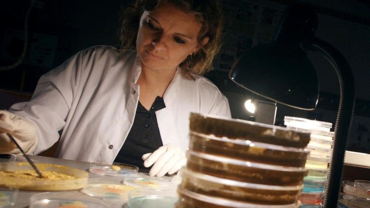 El Blob: Un genio sin cerebro