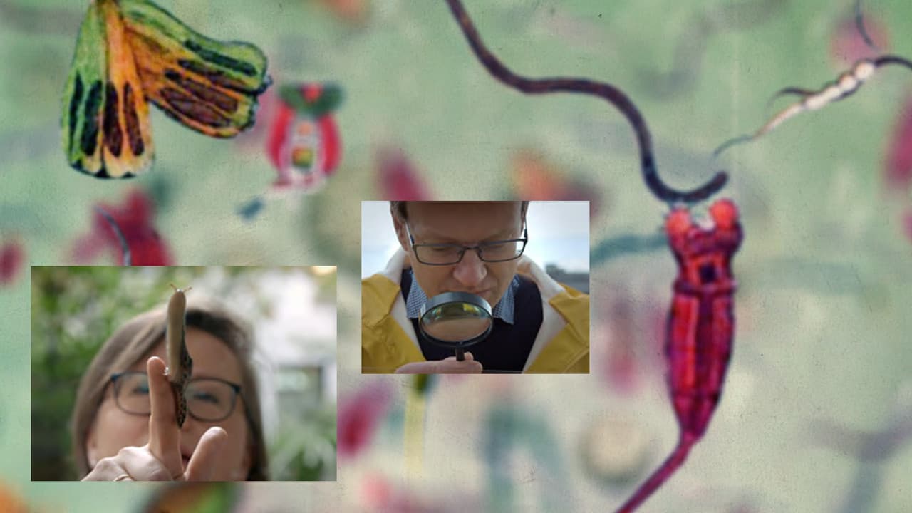 42: La respuesta a casi todo