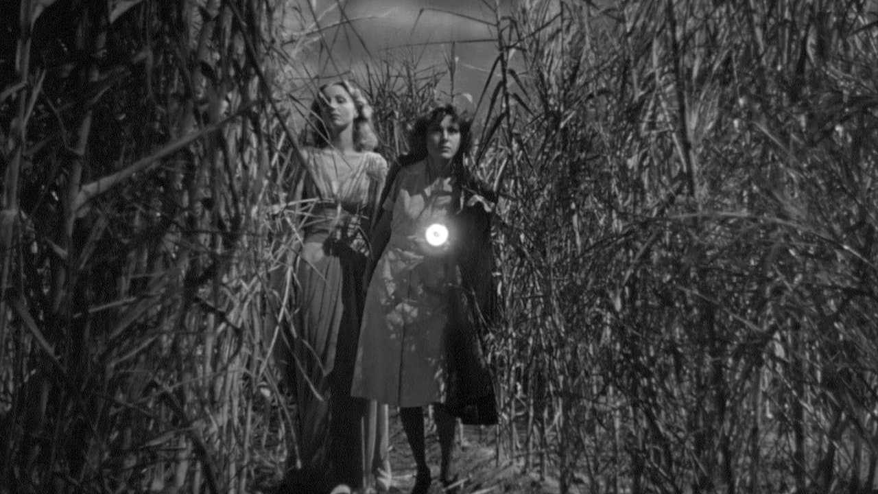 Yo anduve con un zombie