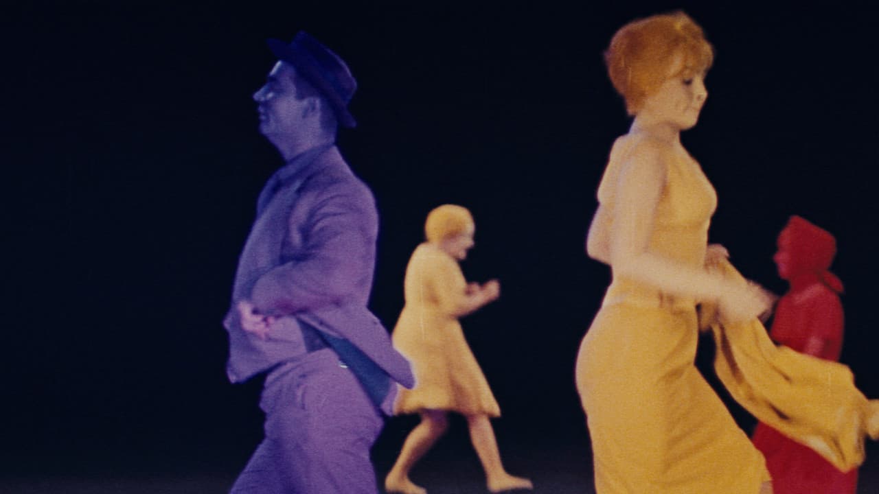 El gato de Cassandra