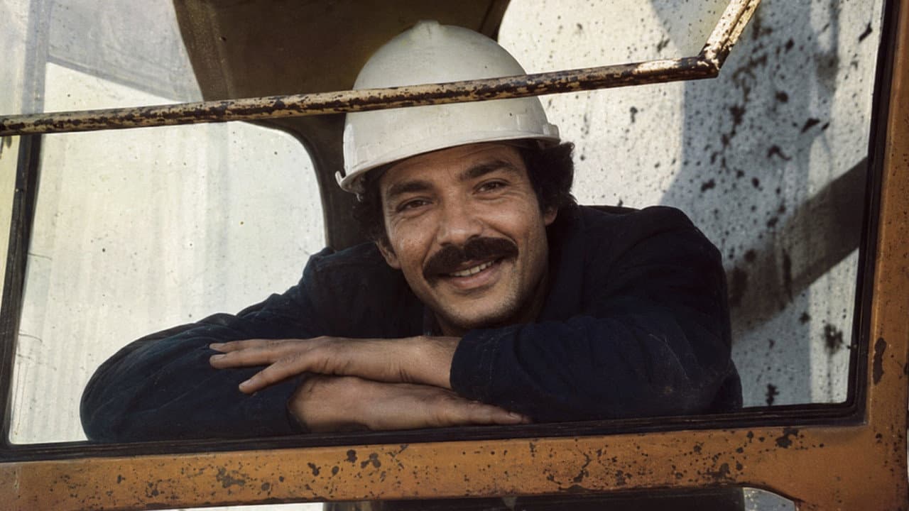 Ali en la tierra de las ilusiones