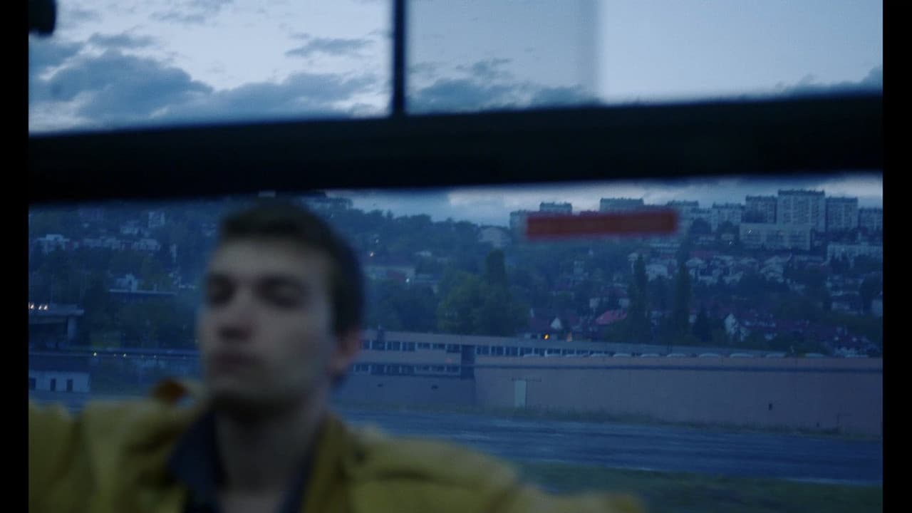 Rebra