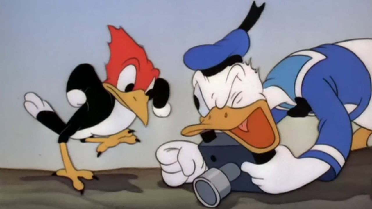 La cámara de Donald