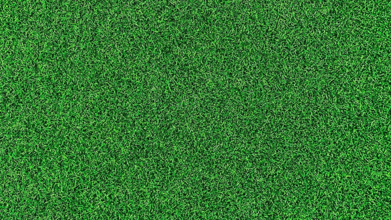 Life on the Green
