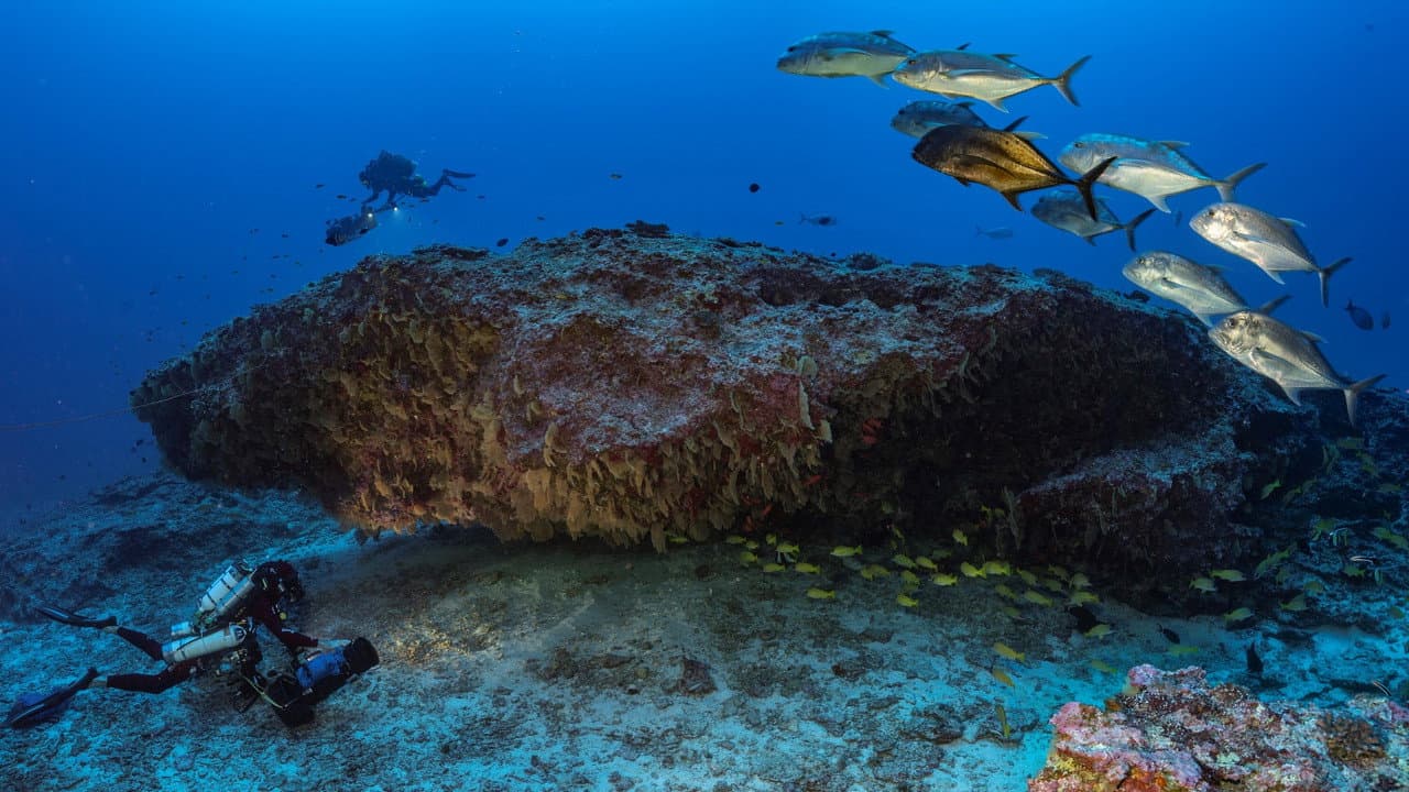 Los misterios del monte La Pérouse