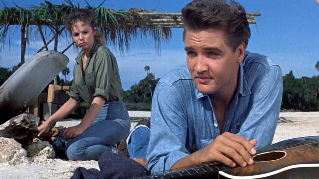 Persigue tus sueños