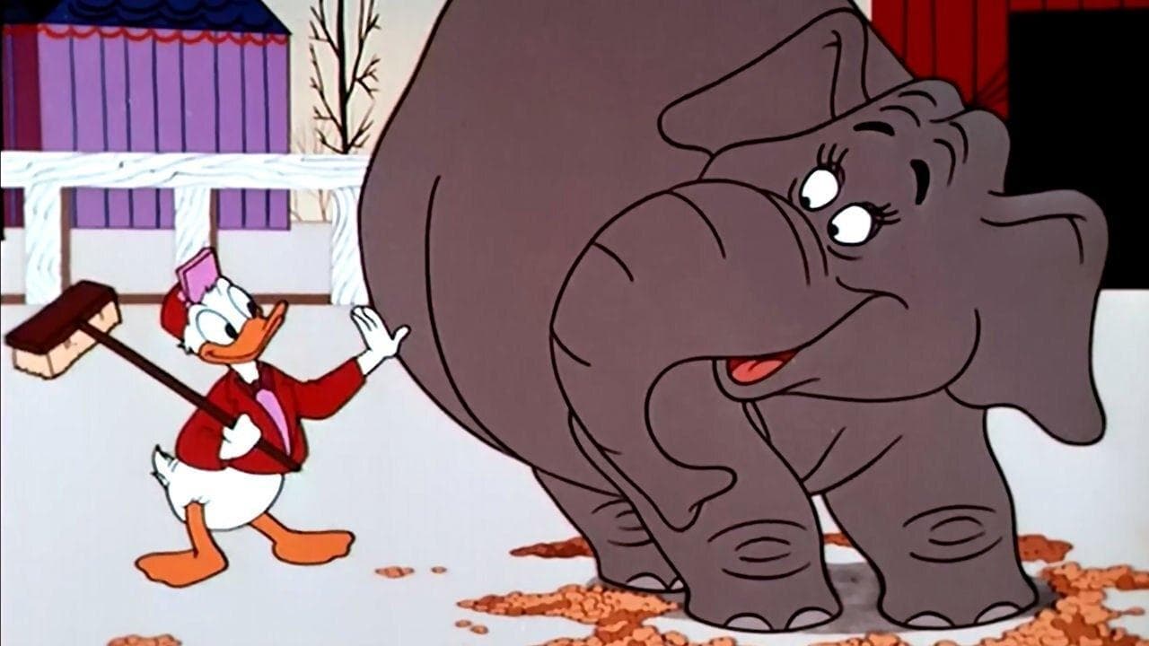 Trabajar por cacahuetes