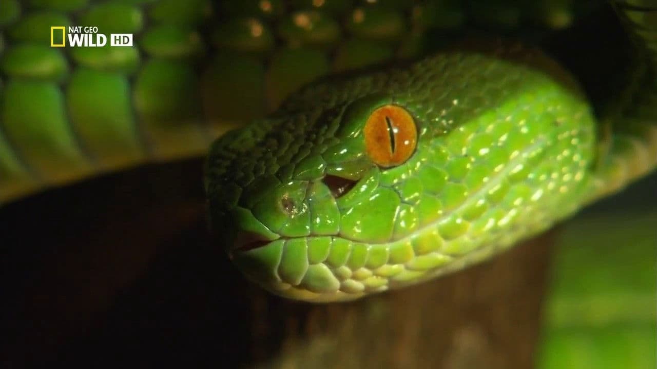 Las islas del veneno