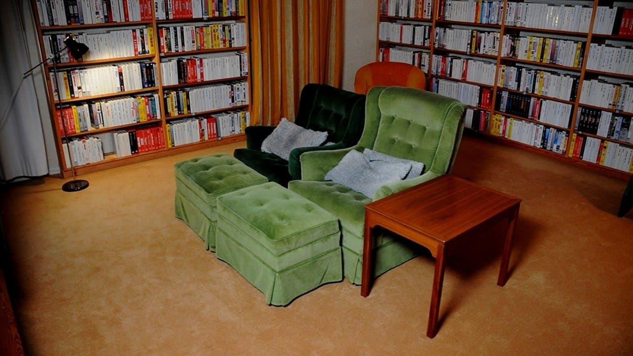 Descubriendo a Bergman