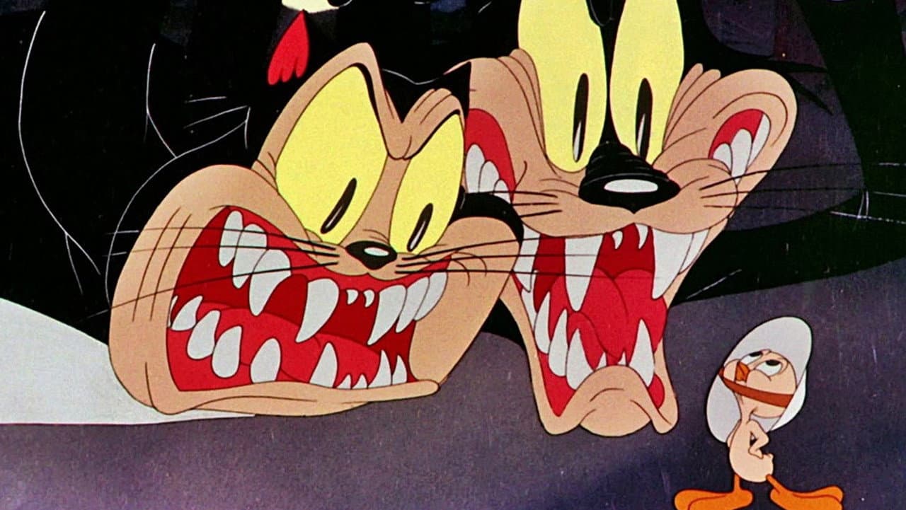 Una historia de dos gatos