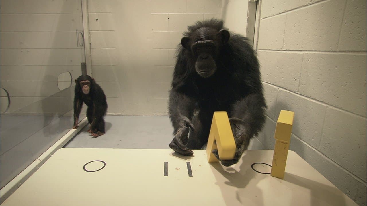 Sobreviviendo al progreso