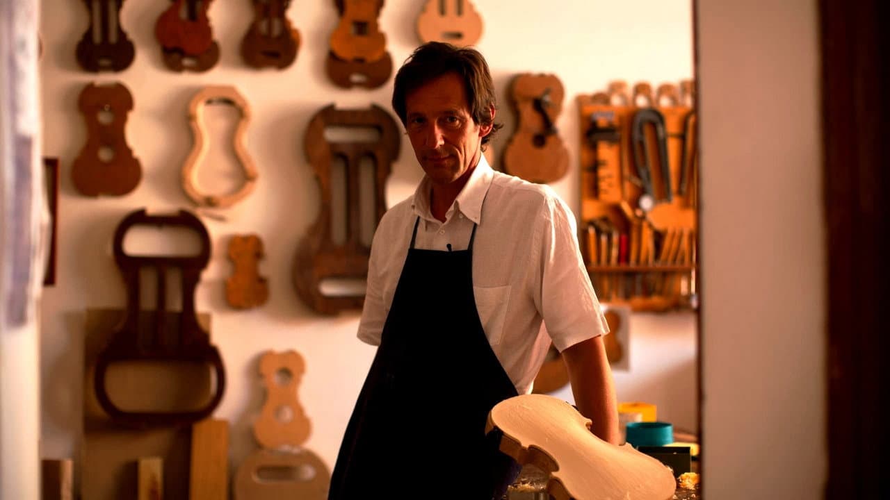 En busca del violín perfecto