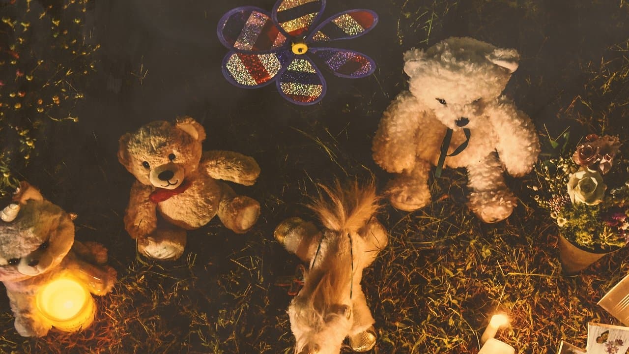 Gaby Petito: toda la verdad