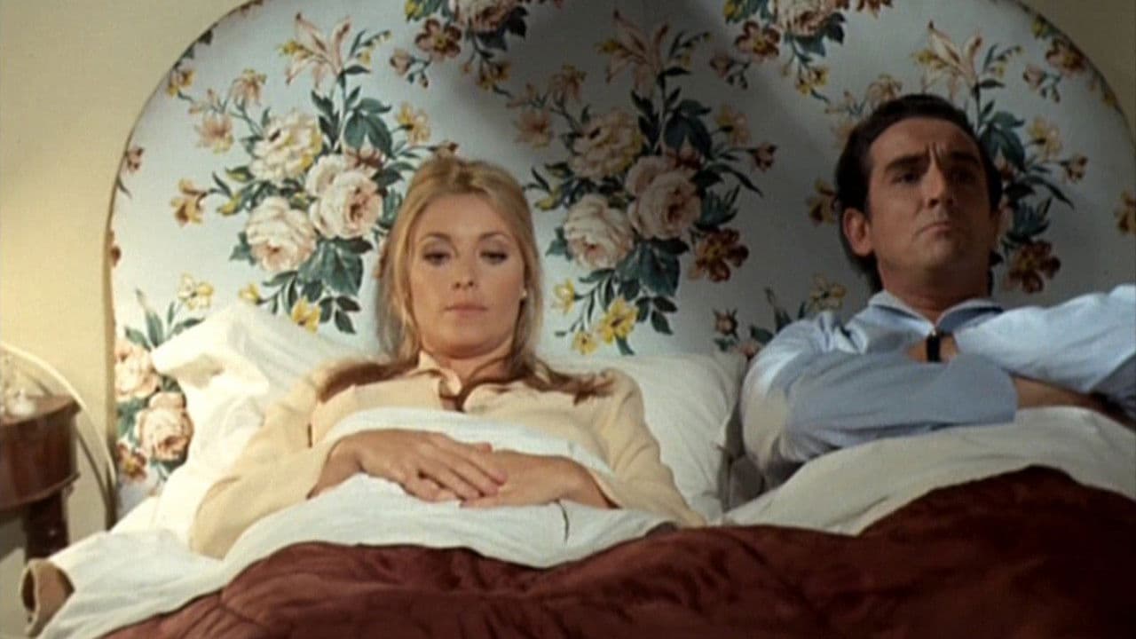 ¿Cuál de las trece?