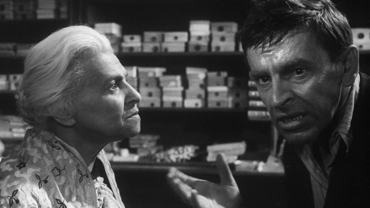 La tienda en la calle Mayor