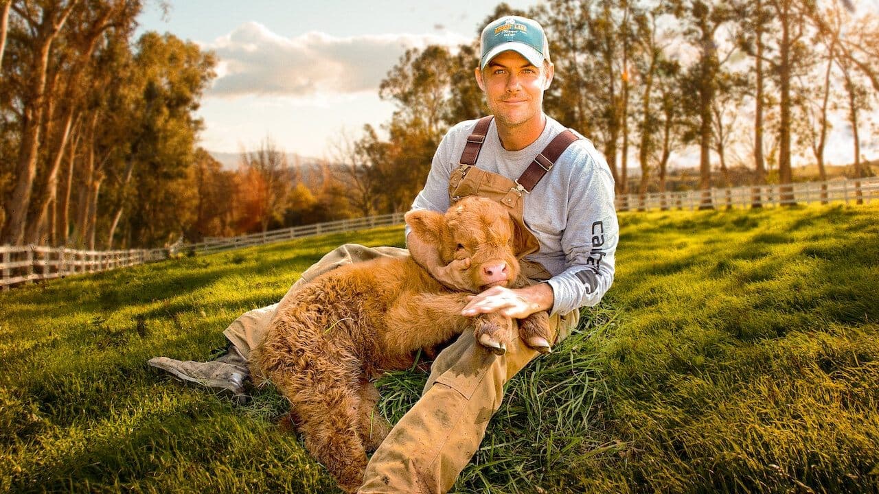 Mi gran pequeña granja