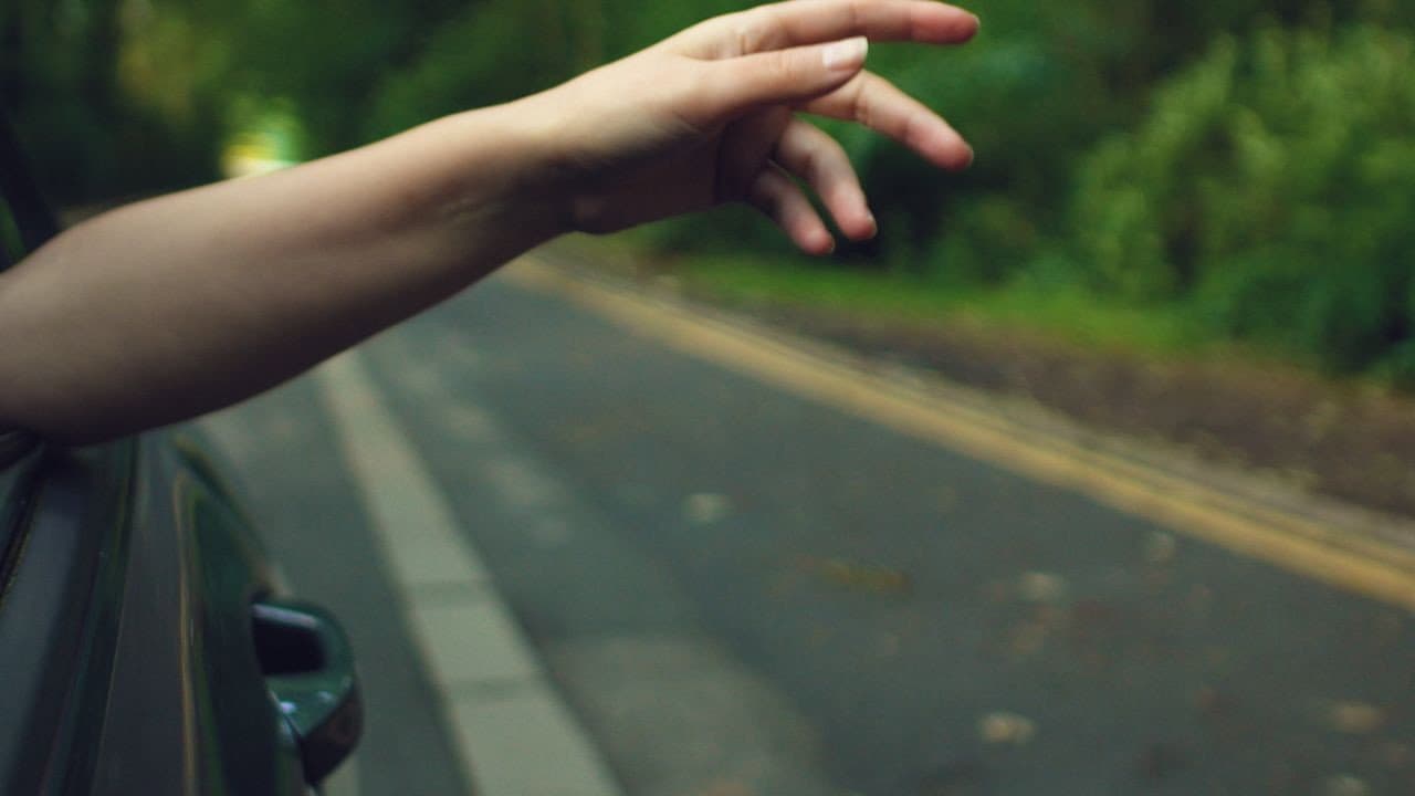 Every Kind of Fruit Bearing Tree