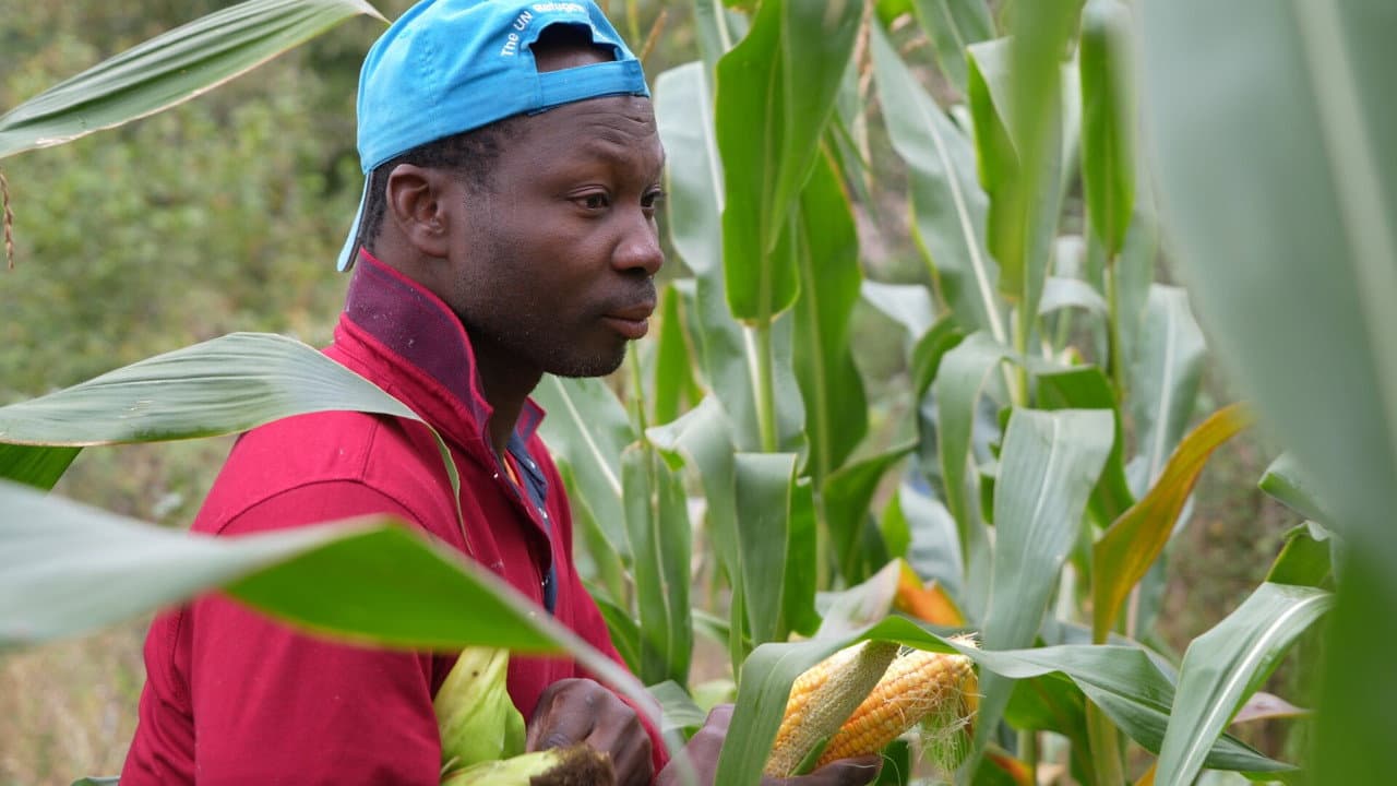 Թեղուտցի Սիլվենը