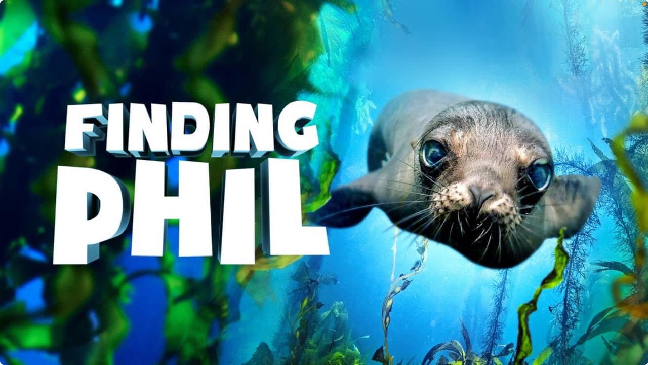 Finding Phil